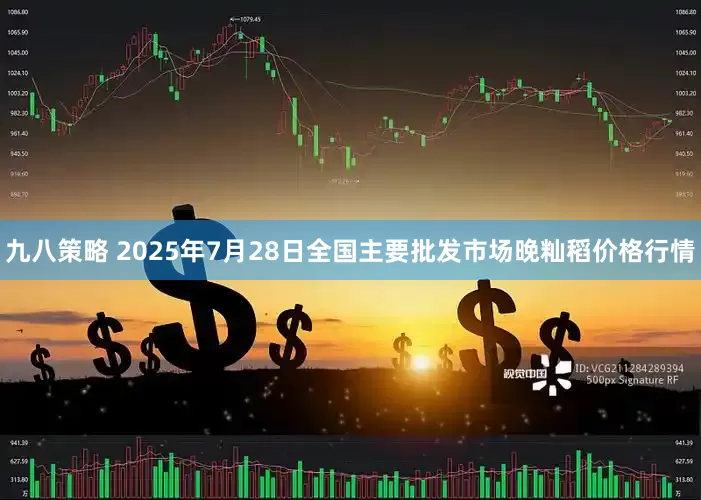 九八策略 2025年7月28日全国主要批发市场晚籼稻价格行情